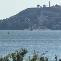 image-1-3